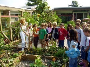 schoolgardenkatonah