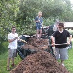 mulch