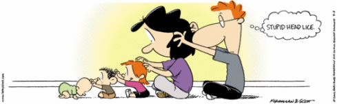 headlice